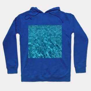 H2O Holiday Hoodie